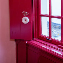 Afbeelding in Gallery-weergave laden, Do'nut Water Me vase