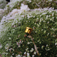 Afbeelding in Gallery-weergave laden, Mona pin (24K Gold)