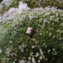 Afbeelding in Gallery-weergave laden, Mona Pin (Platinum Silver)