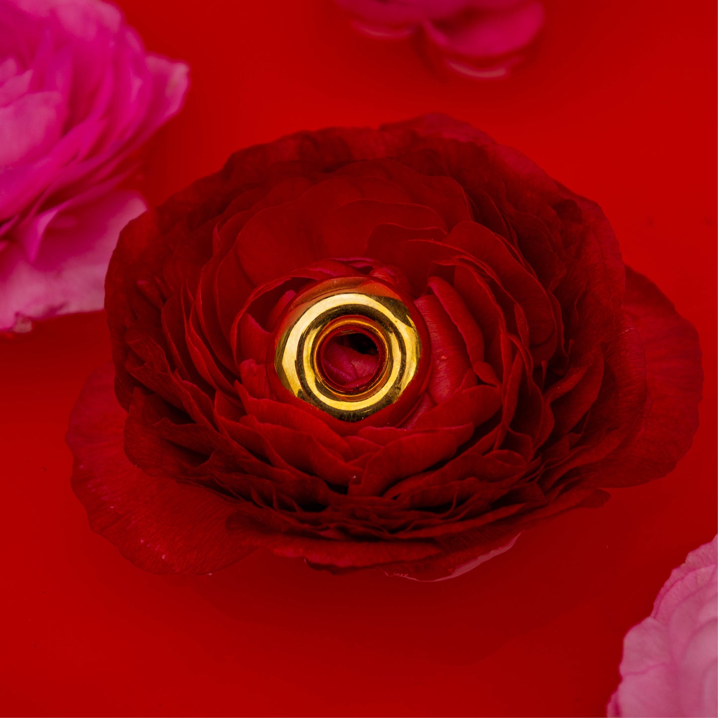 Donut pin (24K Gold)
