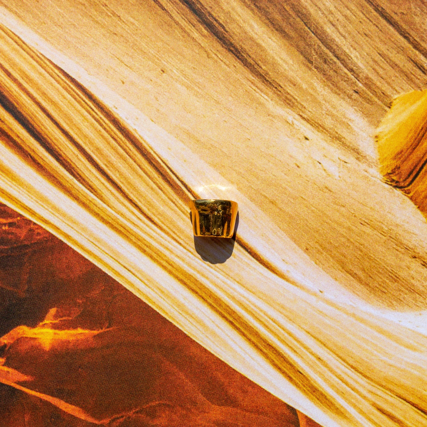 Mona pin (24K Gold)