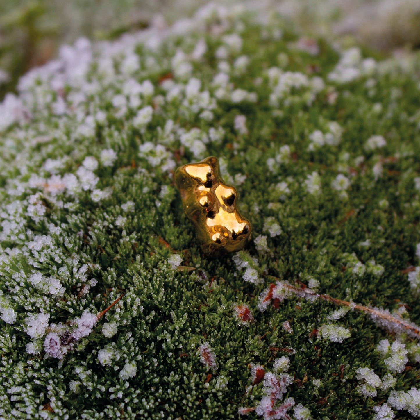 Goldbear – Pin | 24K Gold
