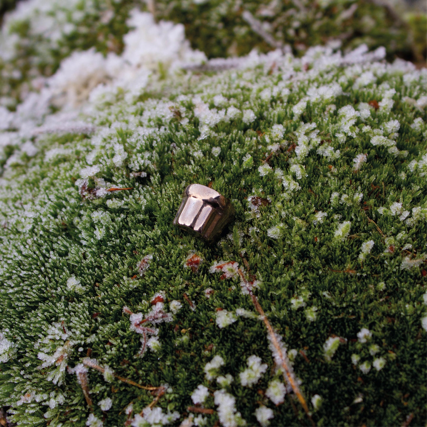 Mona Pin (Platinum Silver)